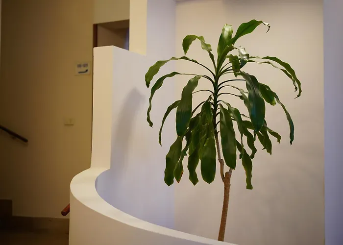 Otel Oasi Santa Rosa